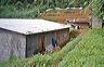 n_eliya_new_house