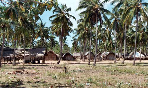 nilaveli_refugee_camp.jpg