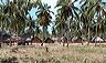 nilaveli_refugee_camp