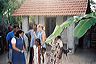 nimal_new_house_sonja