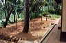 playground_project1
