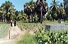 st.marys_kalmunai_jardin