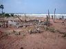refugee_camp_trinco