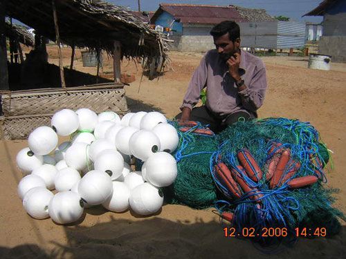 mr-thavaneethan-kalady-new-.jpg