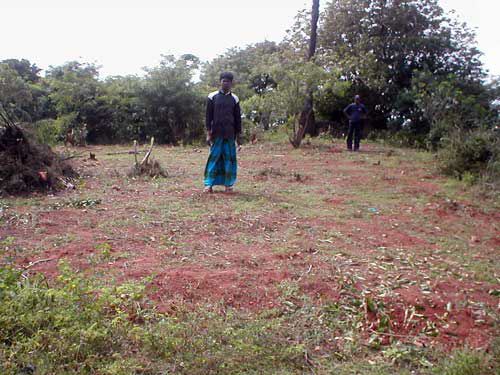 sally_new_land-permit_land.jpg