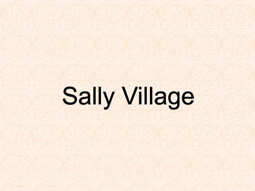 sally_village.jpg