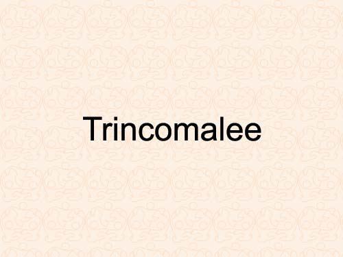 trcincomalee.jpg