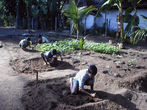 vithya-jothy--boys-garden-c.jpg
